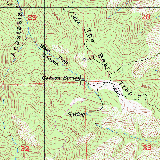 Topographic Map of Cahoon Spring, CA