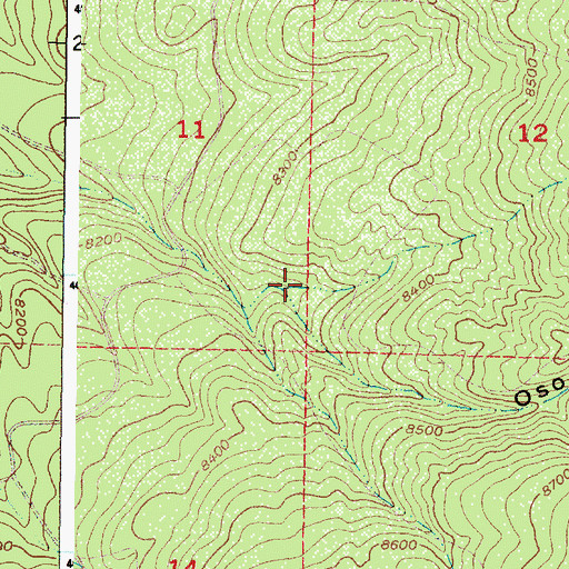 Topographic Map of Oso Tank, NM