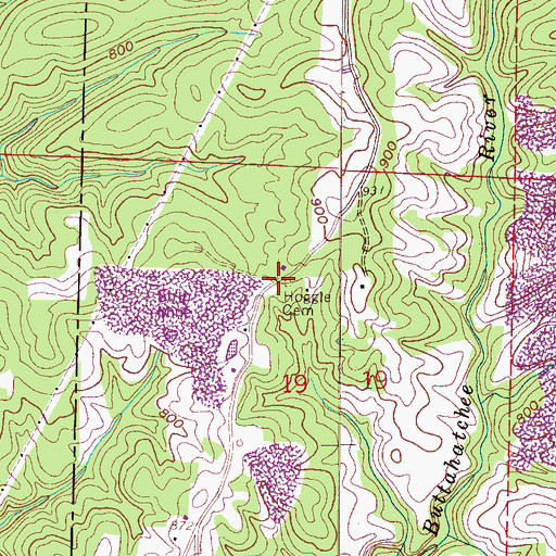 Topographic Map of Hoggle Ridge Cemetery, AL
