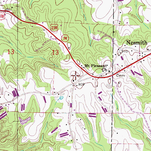 Topographic Map of Nesmith Methodist Church Cemetery, AL