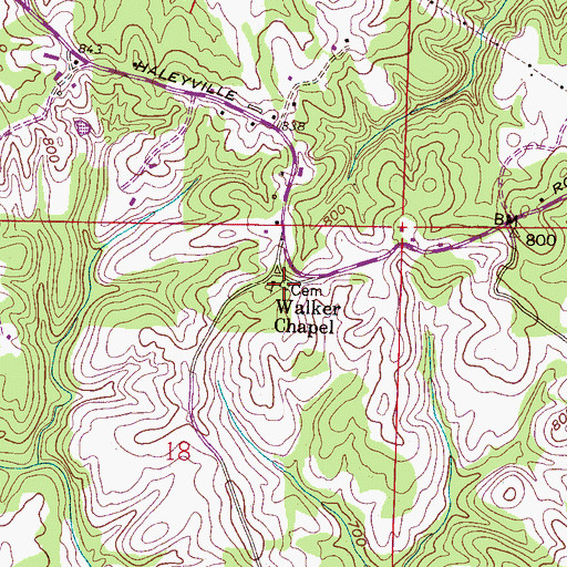 Topographic Map of Walker Chapel Cemetery, AL