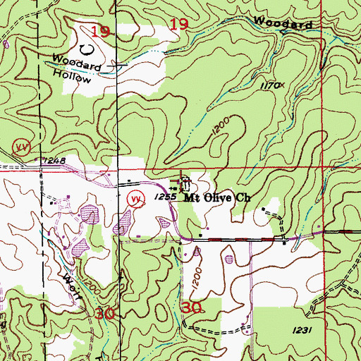 Topographic Map of Mount Olive Cemetery, MO