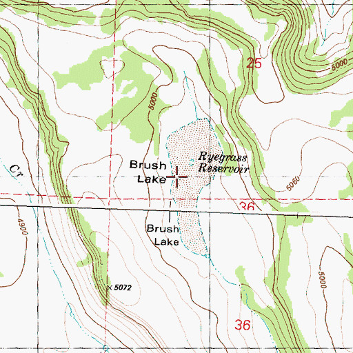 Topographic Map of Brush Lake, OR