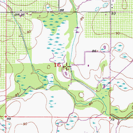 Topographic Map of Diamond H Ranch, FL
