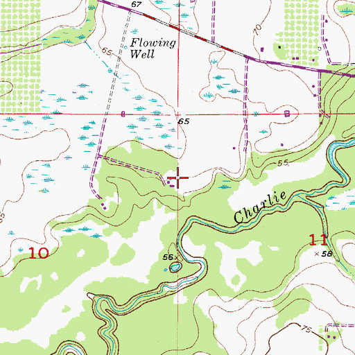 Topographic Map of Grass Valley Ranch, FL