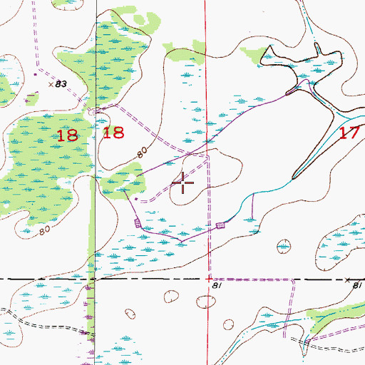 Topographic Map of Fish Branch Tree Farm, FL
