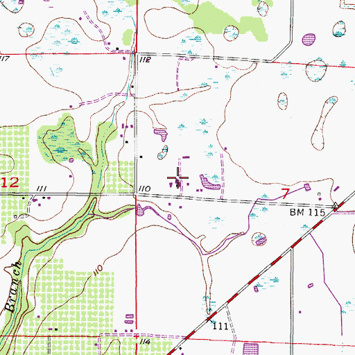 Topographic Map of Wauchula Dairy, FL