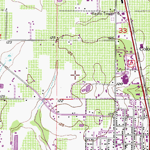 Topographic Map of Lovett Farms, FL