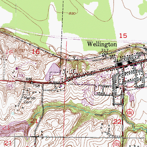 Topographic Map of Wellington City Cemetery, MO