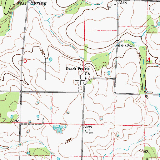 Topographic Map of Ozark Prairie Cemetery, MO