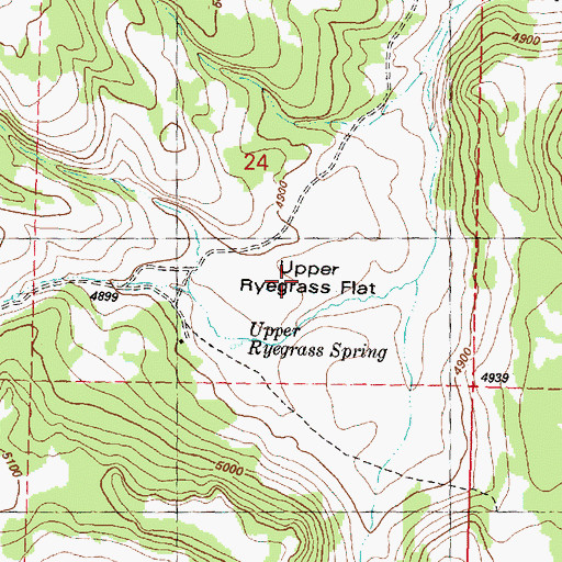 Topographic Map of Upper Ryegrass Flat, OR
