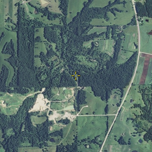 Aerial/Satellite Image of Pine Cemetery, MO