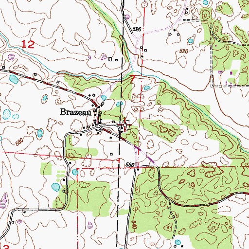 Topographic Map of Brazeau Presbyterian Church Cemetery, MO