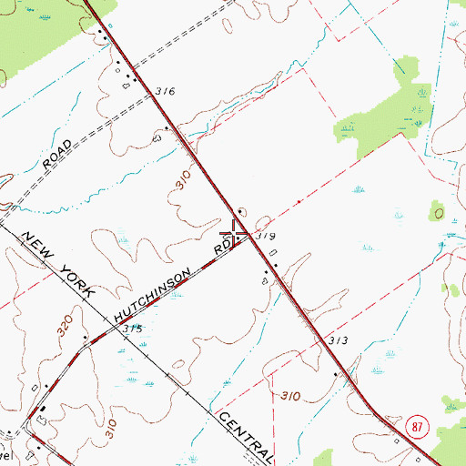 Topographic Map of Debyah Farms, NY