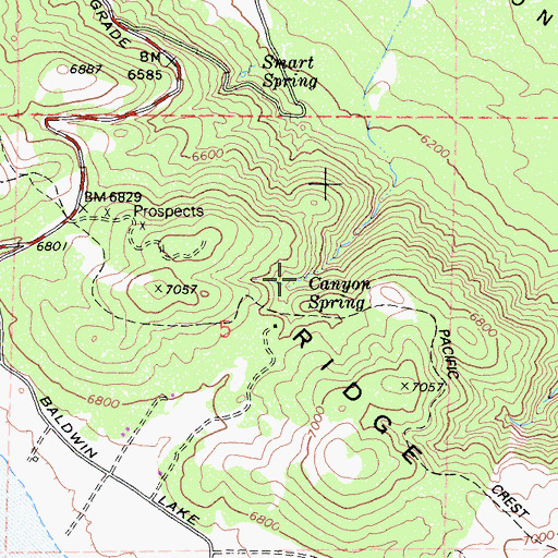 Topographic Map of Canyon Spring, CA