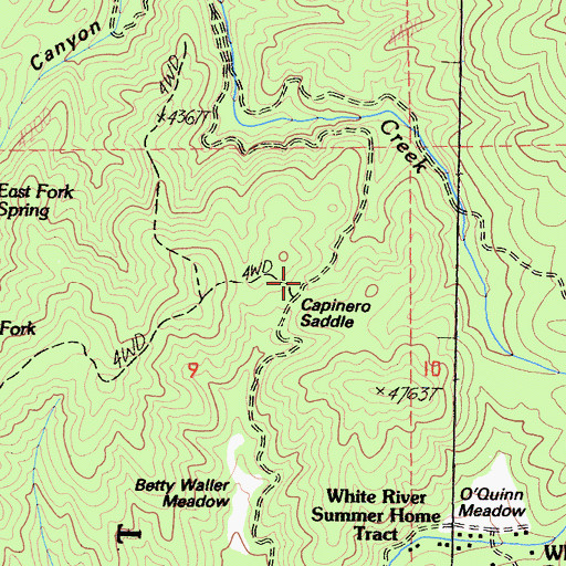 Topographic Map of Capinero Saddle, CA