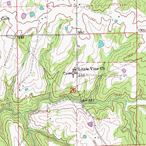 Topographic Map of Little Vine Cemetery, MO