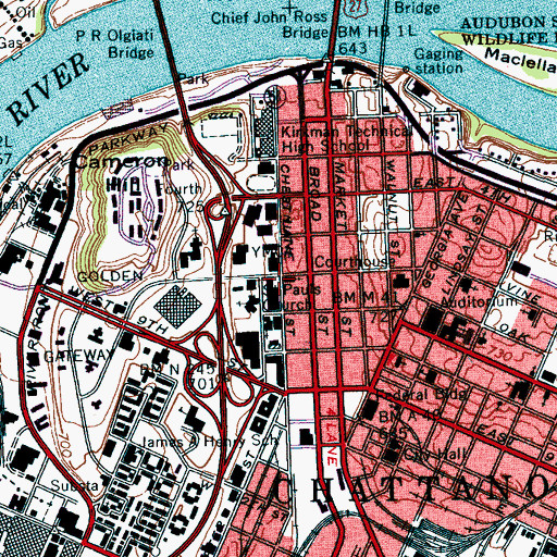 Topographic Map of Chestnut Tower, TN