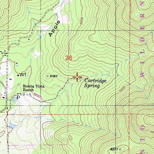 Topographic Map of Cartridge Spring, CA