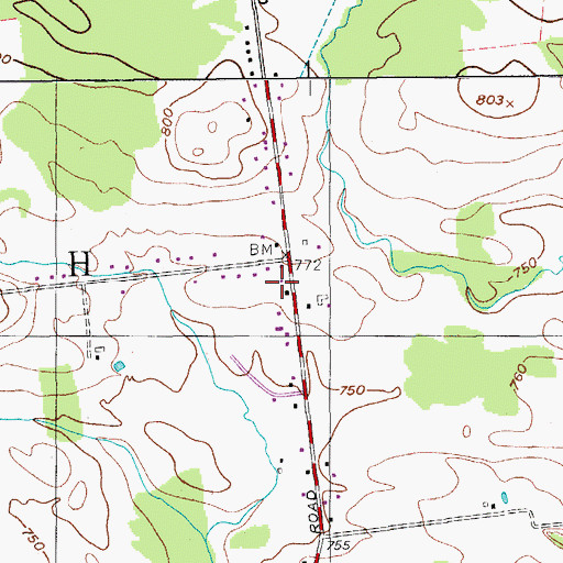 Topographic Map of Chrissy's Greenhouses, NY