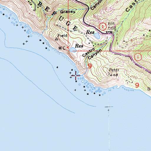 Topographic Map of Castro Canyon, CA