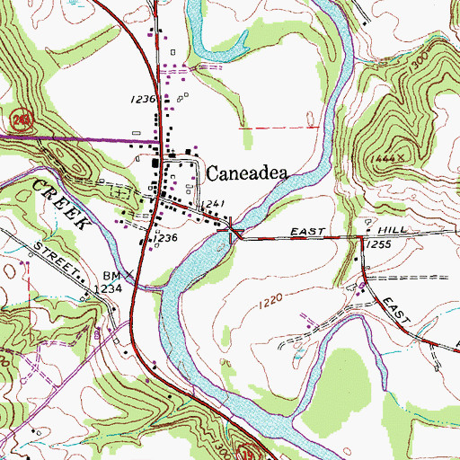 Topographic Map of Caneadea Bridge, NY