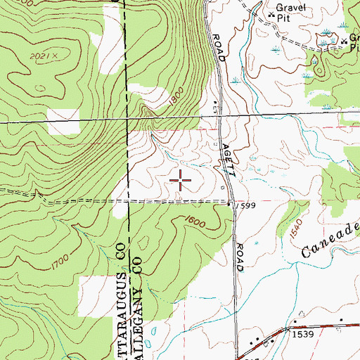Topographic Map of Wild Geese Farm, NY