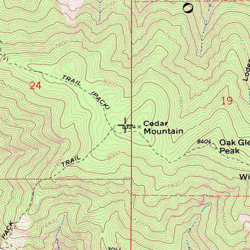 Topographic Map of Cedar Mountain, CA