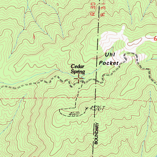 Topographic Map of Cedar Spring, CA