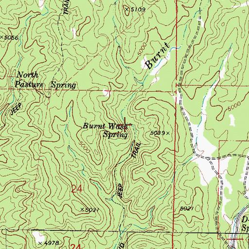 Topographic Map of Burnt Wash Spring, AZ