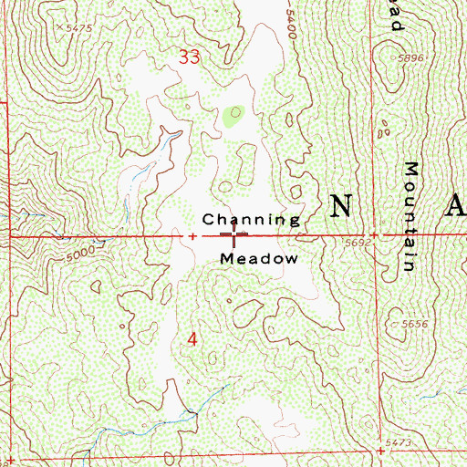 Topographic Map of Channing Meadow, CA