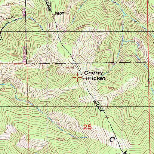 Topographic Map of Cherry Thicket, CA