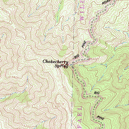 Topographic Map of Chokecherry Spring, CA