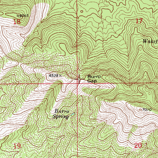 Topographic Map of Burro Gap, AZ