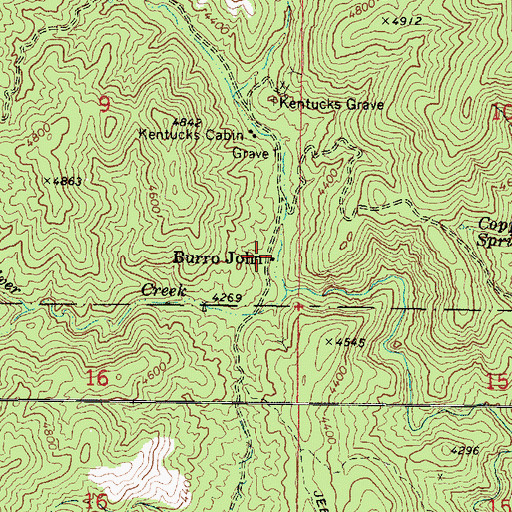 Topographic Map of Burro John, AZ