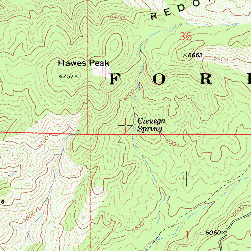 Topographic Map of Cienega Spring, CA