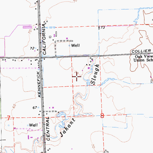 Topographic Map of De Wit Dairy, CA