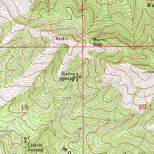 Topographic Map of Burro Spring, AZ