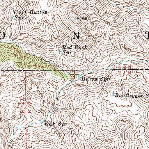 Topographic Map of Burro Spring, AZ