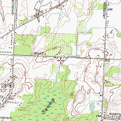 Topographic Map of Schutts Farm, NY