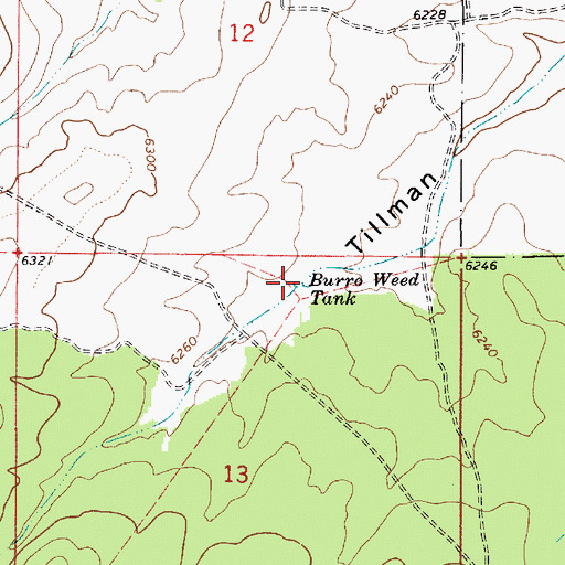 Topographic Map of Burro Weed Tank, AZ