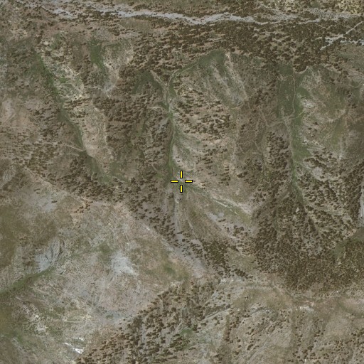 Aerial/Satellite Image of Columbine Spring, CA