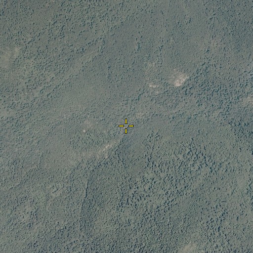 Aerial/Satellite Image of Runyons Run, VA