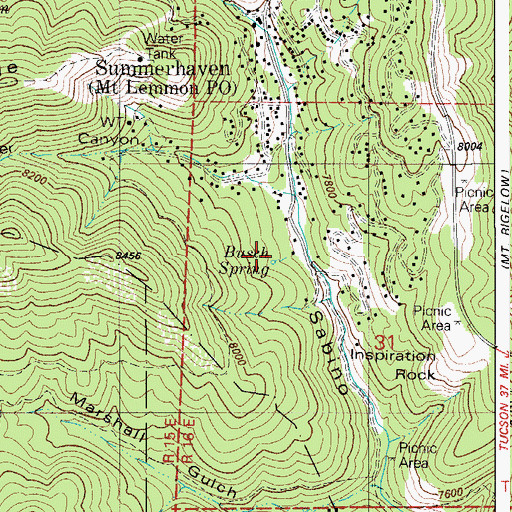 Topographic Map of Busch Spring, AZ
