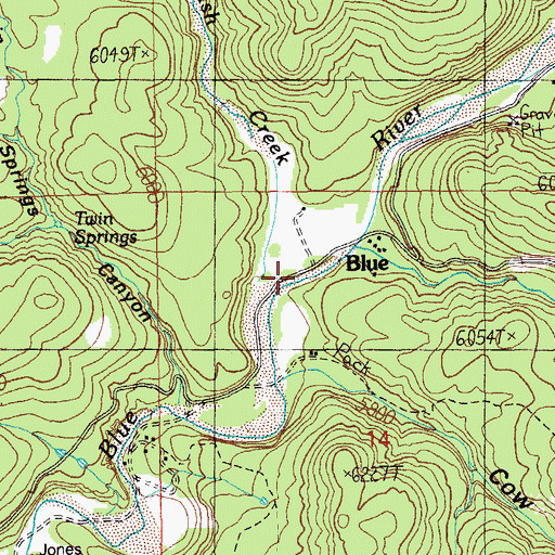 Topographic Map of Bush Creek, AZ