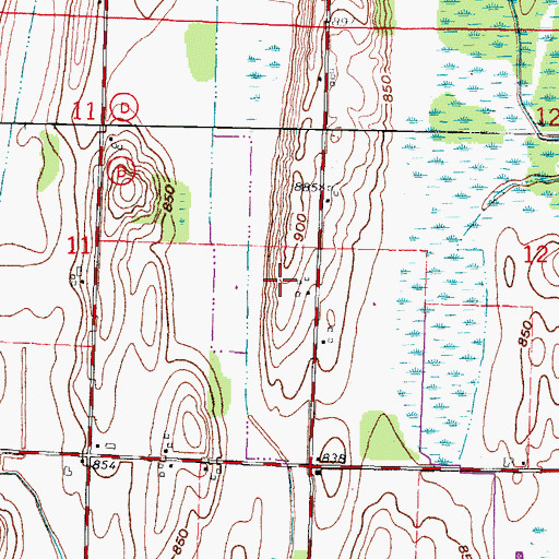 Topographic Map of Royal Betschler Farms, WI