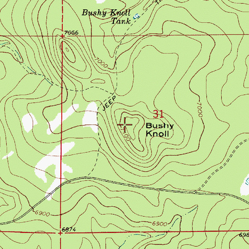 Topographic Map of Bushy Knoll, AZ