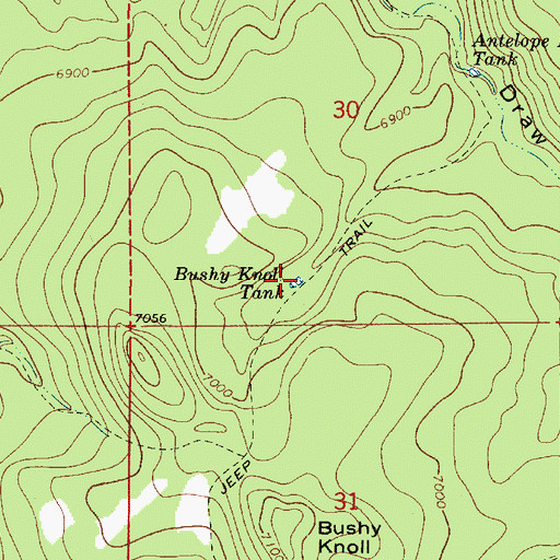 Topographic Map of Bushy Knoll Tank, AZ