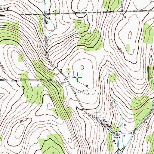 Topographic Map of Lynch Dairy Farm, NY