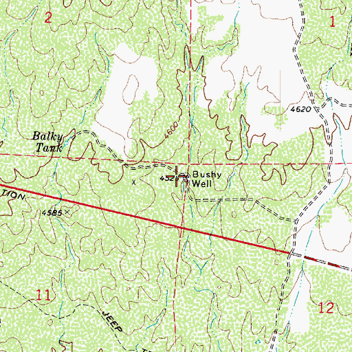 Topographic Map of Bushy Well, AZ